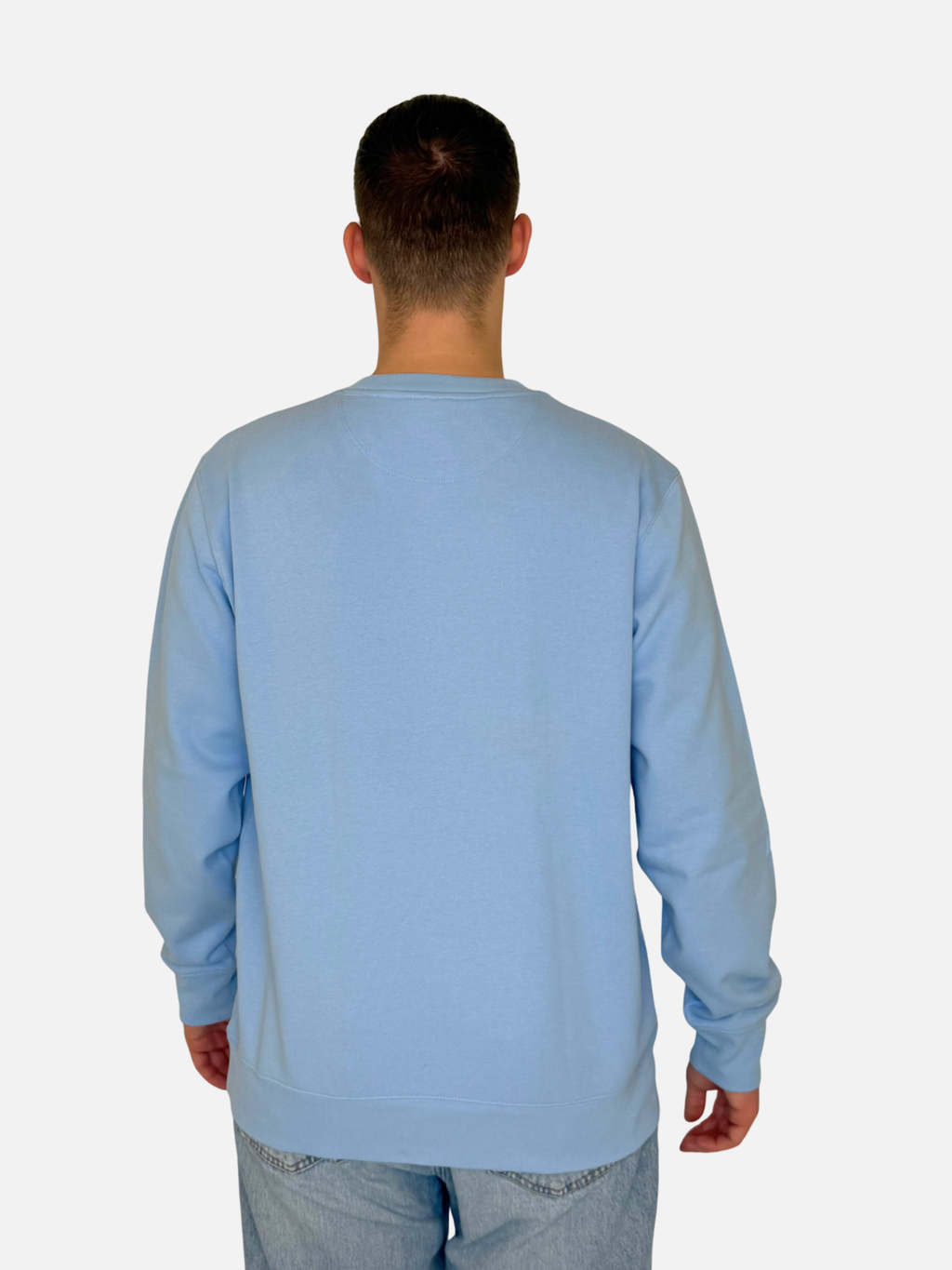 SEA DAY Sweatshirt Blau Herren unisex hinten charles lindgren offiziell