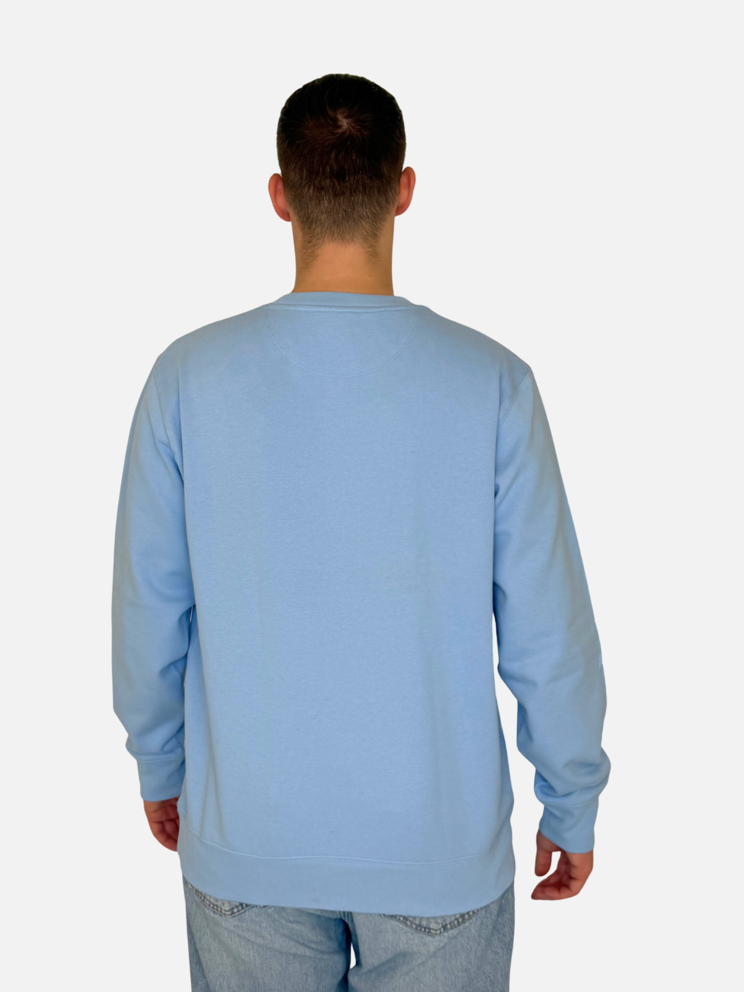 SEA DAY Sweatshirt Blau Herren unisex hinten charles lindgren offiziell