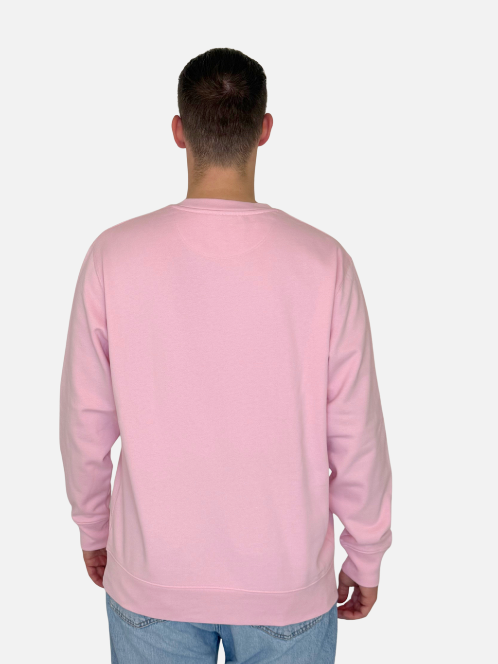SEA DAY Sweatshirt Rosa Herren unisex hinten charles lindgren offiziell