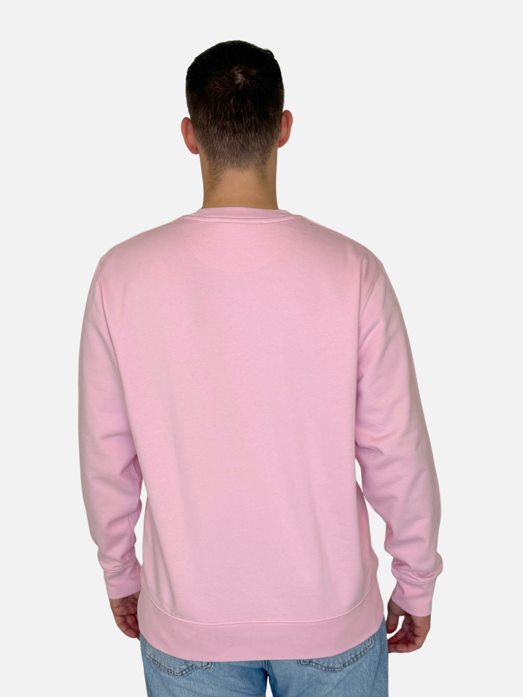 SHORE LEAVE Sweatshirt Rosa Herren unisex hinten charles lindgren offiziell